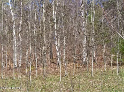 122 Peeters Rd, Schenevus, NY 13488 photo 5