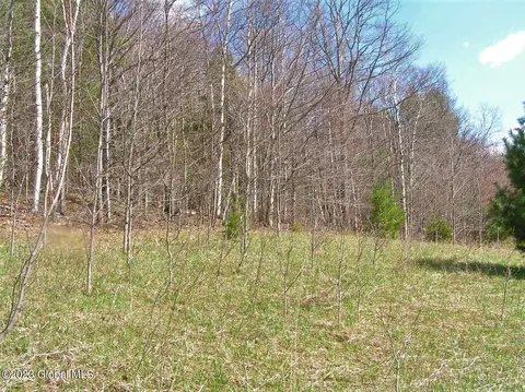 122 Peeters Rd, Schenevus, NY 13488 photo 4