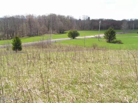 122 Peeters Rd, Schenevus, NY 13488 photo 3