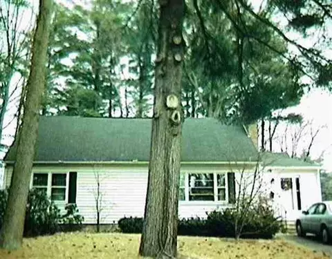 48 Douglas Rd, Delmar, NY 12054 photo 1