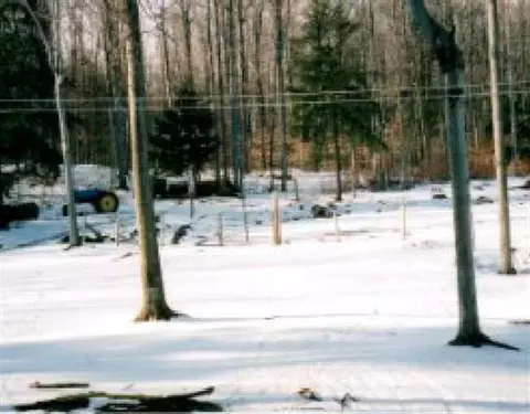 2131 Rt 20, Cobleskill, NY 12043 photo 5