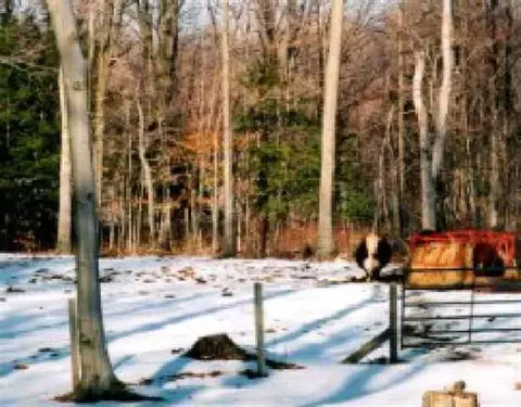 2131 Rt 20, Cobleskill, NY 12043 photo 4