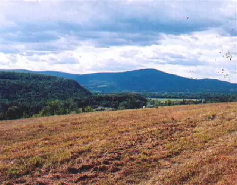 139 Gridley Rd, Middleburgh, NY 12122 photo 3