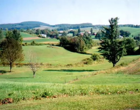 503 Settles Mountain Rd, Cobleskill, NY 12043 photo 8