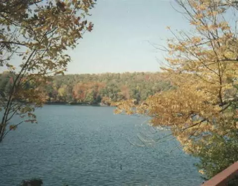 75 Warners Lake Rd, East Berne, NY 12059 photo 3