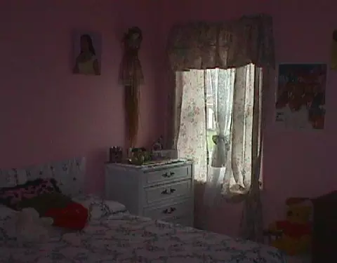 705 Wasentha Way, Slingerlands, NY 12159 photo 9
