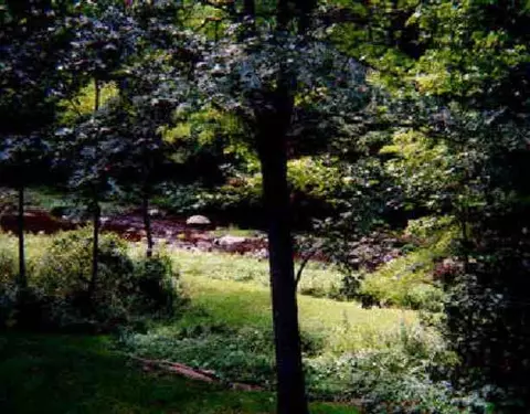 909 Rt 203, Chatham, NY 12037 photo 4