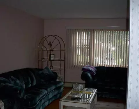 245 Ormond St, Albany, NY 12208 photo 3