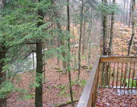 253 Tinkley Hollow Rd, Warnerville, NY 12187 photo 9