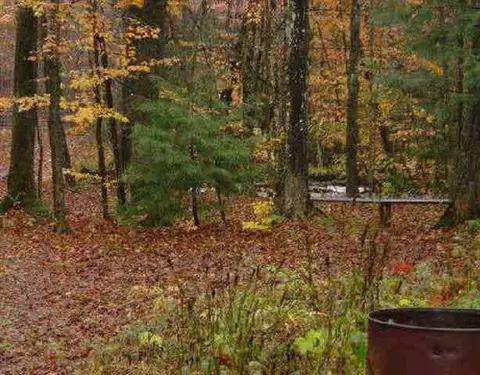 253 Tinkley Hollow Rd, Warnerville, NY 12187 photo 10