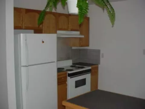 114 Lomasney Ave, Schenectady, NY 12308 photo 6