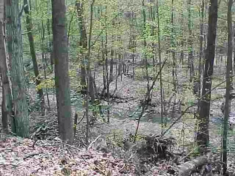 32 Safford Rd, Argyle, NY 12809 photo 2