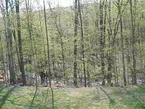 32 Safford Rd, Argyle, NY 12809 photo 8