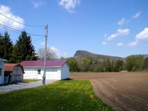 1395 Clauverwie Rd, Middleburgh, NY 12122 photo 2