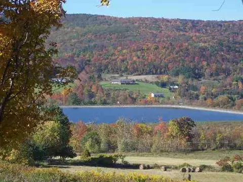 155 Dow St, Cobleskill, NY 12043 photo 4