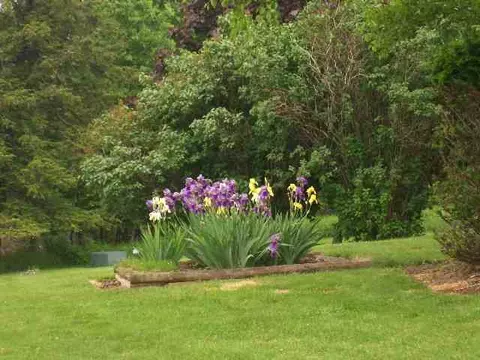 155 Dow St, Cobleskill, NY 12043 photo 11