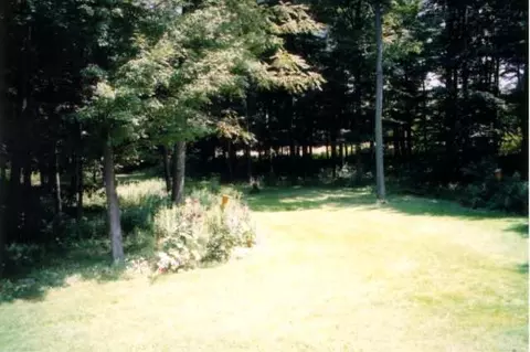 294 Lake Rd, Carlisle, NY 12031 photo 8