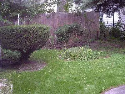 1432 Garner Ave, Schenectady, NY 12309 photo 3