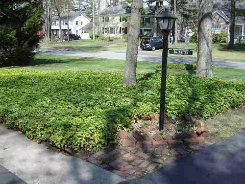 5 Woodridge Rd, Delmar, NY 12054 photo 10