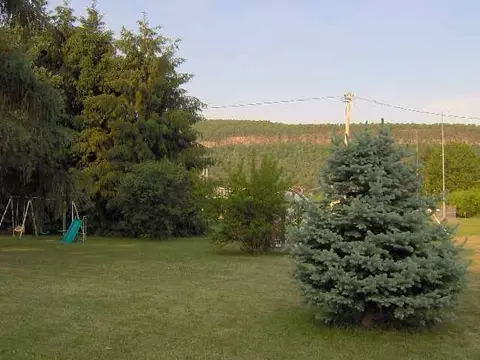 114 Pleasant Ave, Middleburgh, NY 12122 photo 3