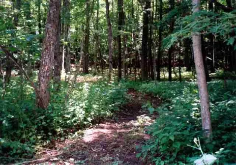 35 Old Rd, East Berne, NY 12059 photo 8