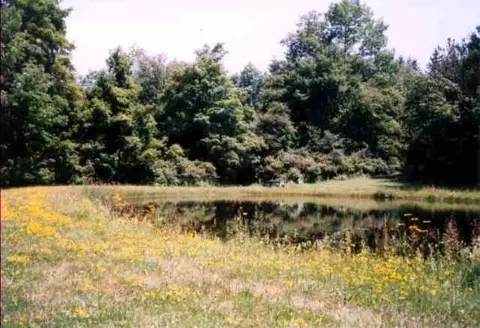 35 Old Rd, East Berne, NY 12059 photo 7