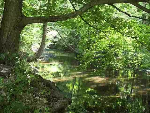 4078 Rt 203, Valatie, NY 12184 photo 3