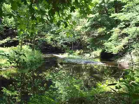 4078 Rt 203, Valatie, NY 12184 photo 2