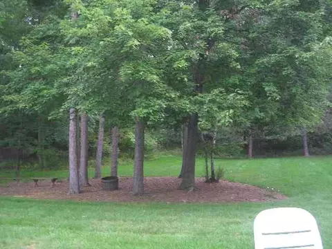 61 Carstead Dr, Slingerlands, NY 12159 photo 7
