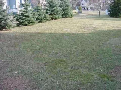 102 Cooks Ct, Clifton Park, NY 12065 photo 5