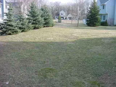 102 Cooks Ct, Clifton Park, NY 12065 photo 6