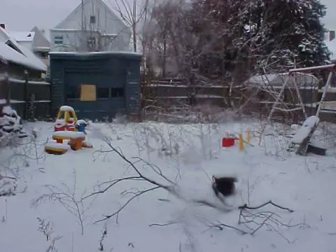 12 Frank St, Schenectady, NY 12304 photo 3