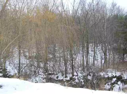 3144 Coach Rd, Hartford, NY 12809 photo 2