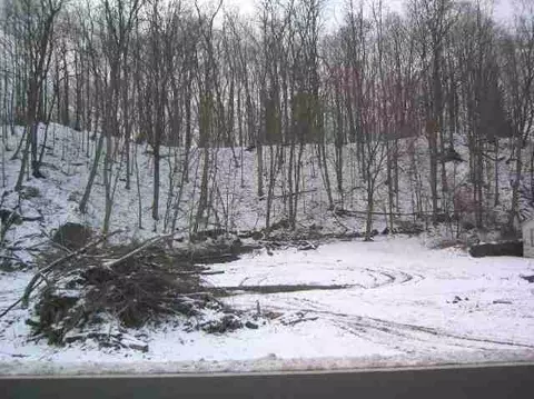 37 County Rt 85, Cairo, NY 12413 photo 7