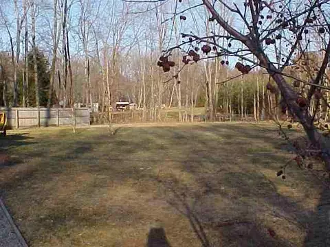 39 Dunsbach Rd, Halfmoon, NY 12065 photo 3