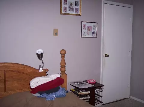 132 Brookside Ave, Cobleskill, NY 12043 photo 7