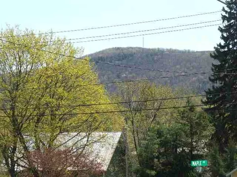 117 Maple Rd, Cobleskill, NY 12043 photo 3