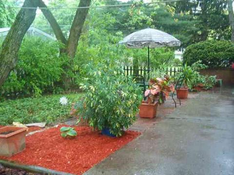 130 Cherry Ave, Delmar, NY 12054 photo 8