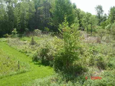 20 Hasgate Dr, Delmar, NY 12054 photo 3