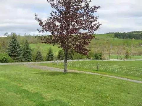203 Helderberg Trl, East Berne, NY 12059 photo 3
