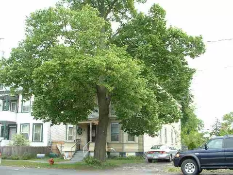 919 Stanley St, Schenectady, NY 12307 photo 2