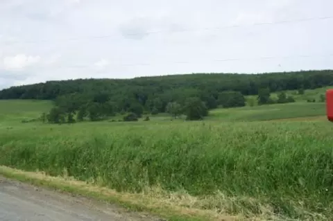 342 Dow St, Cobleskill, NY 12043 photo 3