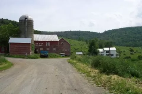 342 Dow St, Cobleskill, NY 12043 photo 1