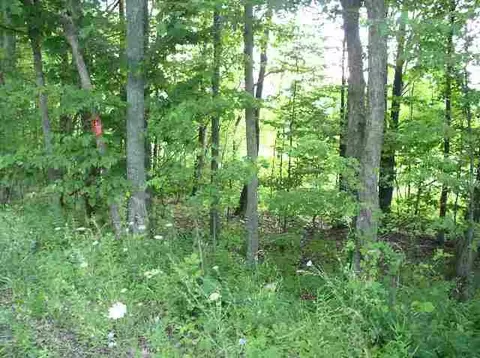 1 Williams Rd, Argyle, NY 12809 photo 6