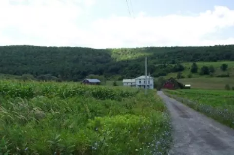 281 Dow St, Cobleskill, NY 12043 photo 2