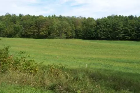 206 Moon Rd, Argyle, NY 12809 photo 4