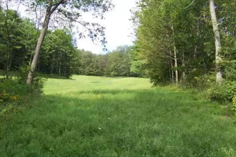 206 Moon Rd, Argyle, NY 12809 photo 6