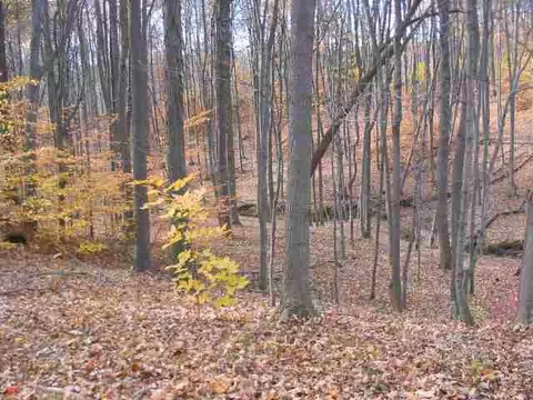 39 Jacob Dr, Delmar, NY 12054 photo 4