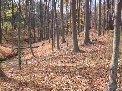 39 Jacob Dr, Delmar, NY 12054 photo 3
