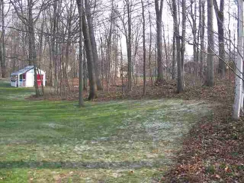 39 Carstead Dr, Slingerlands, NY 12159 photo 11